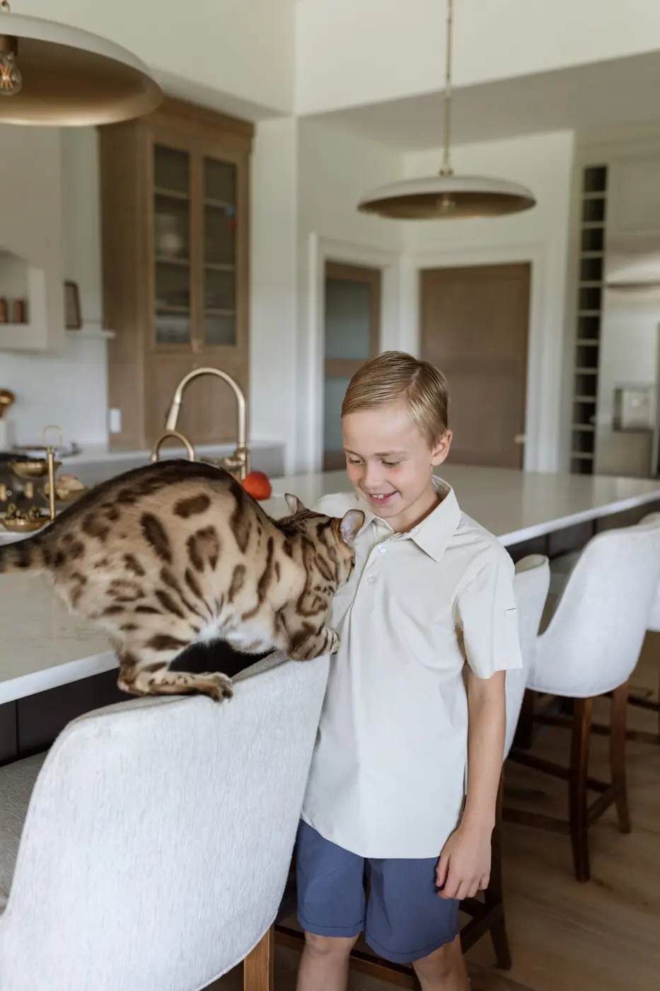 Reese the Bengal cat climbing onto a kitchen stool beside Wells Ludwig